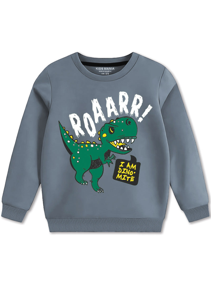 Buy warm wear sweatshirts for boys