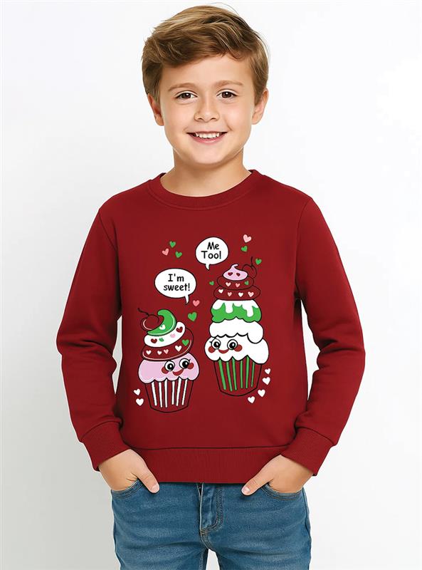 Boys sweatshirts online 
