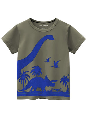 Pastel grey T Shirt for Boy